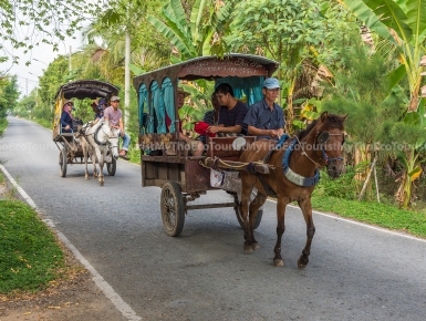 Tour Đi Xe Ngựa