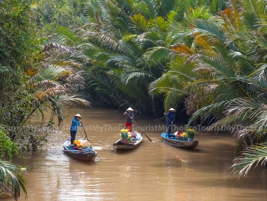 Tour Rạch Xếp - Xe Lôi-Xe Đạp